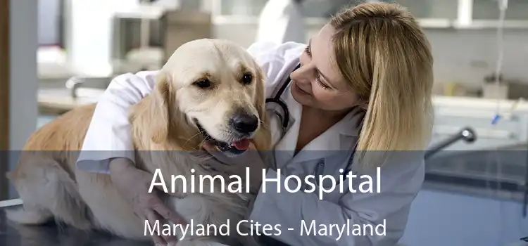 Animal Hospital Maryland Cites - Maryland