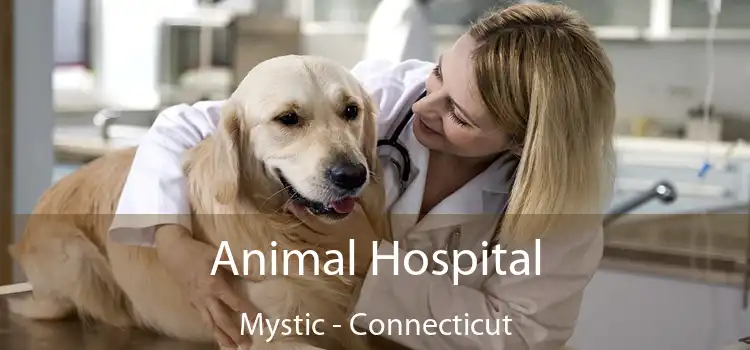 Animal Hospital Mystic - Connecticut