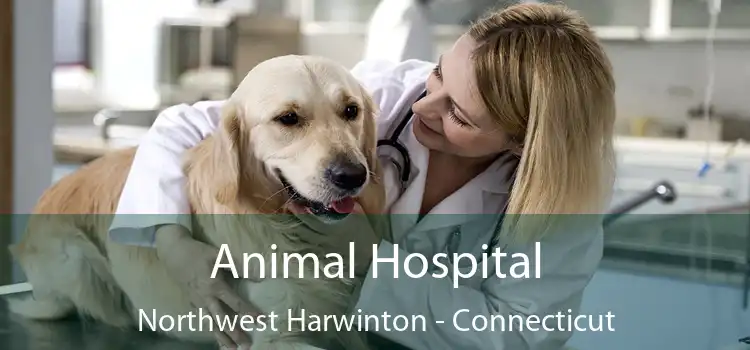 Animal Hospital Northwest Harwinton - Connecticut