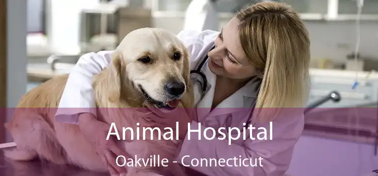 Animal Hospital Oakville - Connecticut