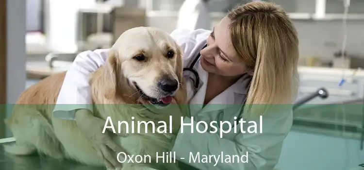 Animal Hospital Oxon Hill - Maryland