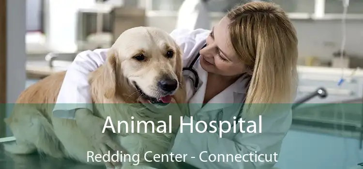 Animal Hospital Redding Center - Connecticut