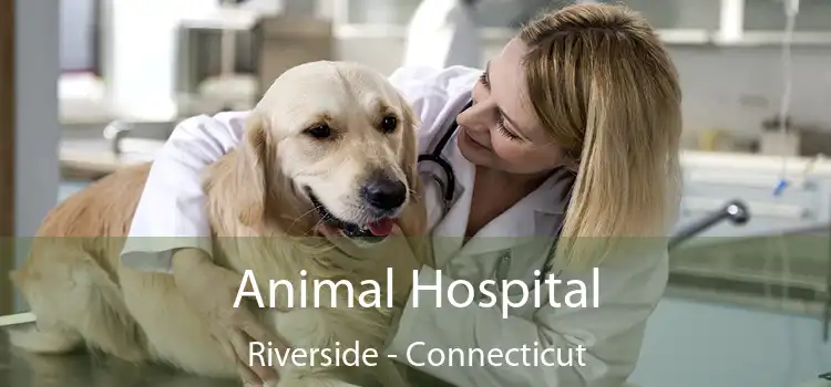Animal Hospital Riverside - Connecticut