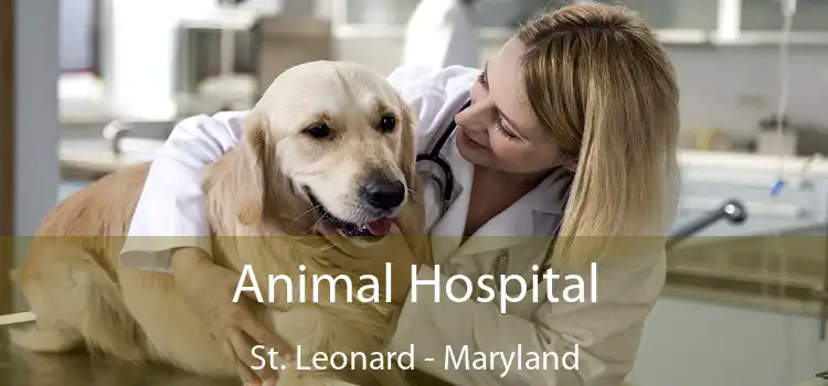 Animal Hospital St. Leonard - Maryland