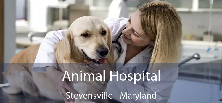 Animal Hospital Stevensville - Maryland