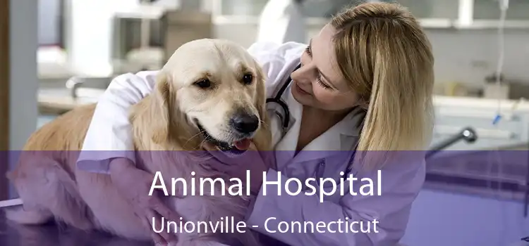 Animal Hospital Unionville - Connecticut