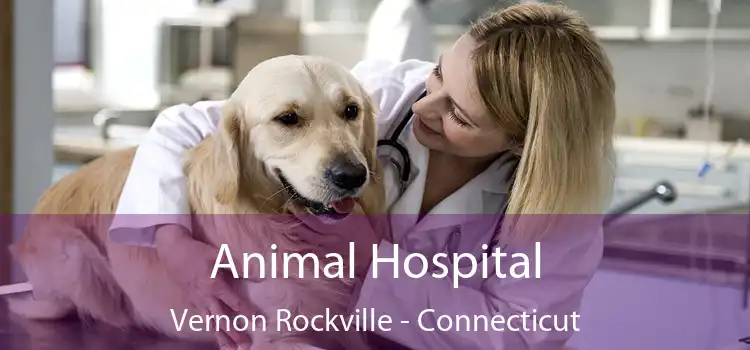 Animal Hospital Vernon Rockville - Connecticut
