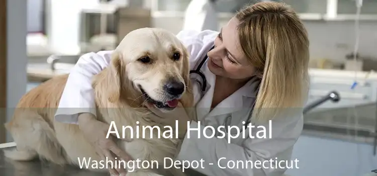 Animal Hospital Washington Depot - Connecticut
