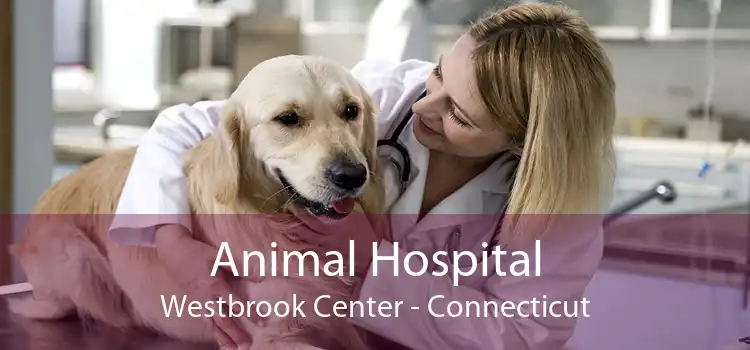 Animal Hospital Westbrook Center - Connecticut