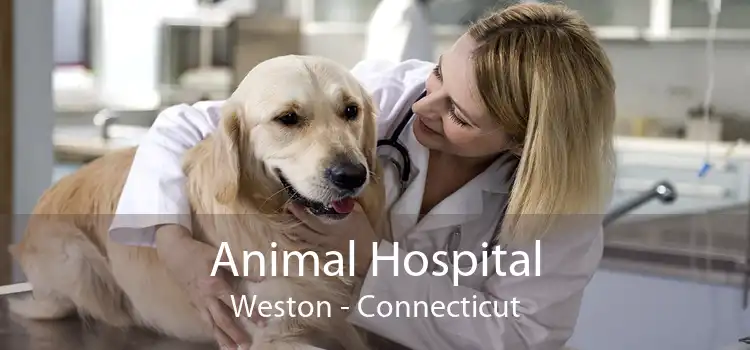 Animal Hospital Weston - Connecticut