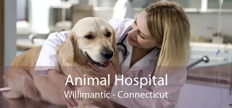 Animal Hospital Willimantic - Connecticut