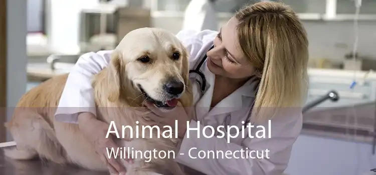 Animal Hospital Willington - Connecticut