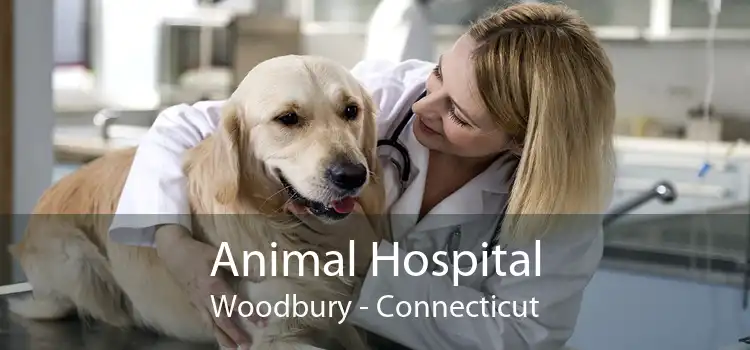 Animal Hospital Woodbury - Connecticut
