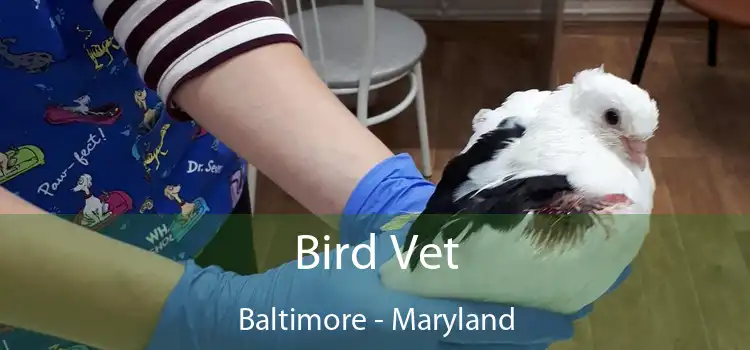 Bird Vet Baltimore - Maryland