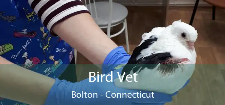 Bird Vet Bolton - Connecticut