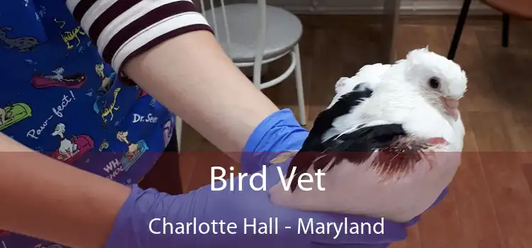 Bird Vet Charlotte Hall - Maryland