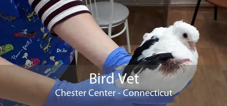 Bird Vet Chester Center - Connecticut