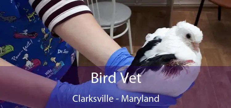 Bird Vet Clarksville - Maryland