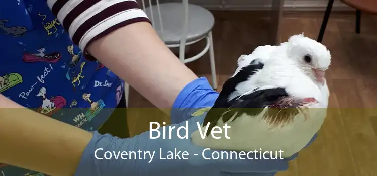 Bird Vet Coventry Lake - Connecticut