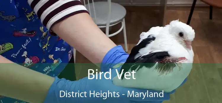 Bird Vet District Heights - Maryland