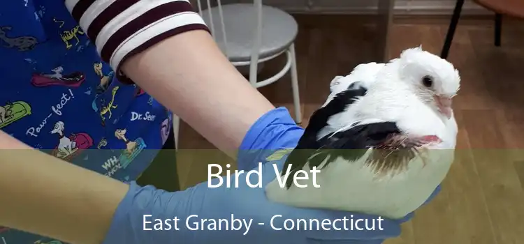 Bird Vet East Granby - Connecticut