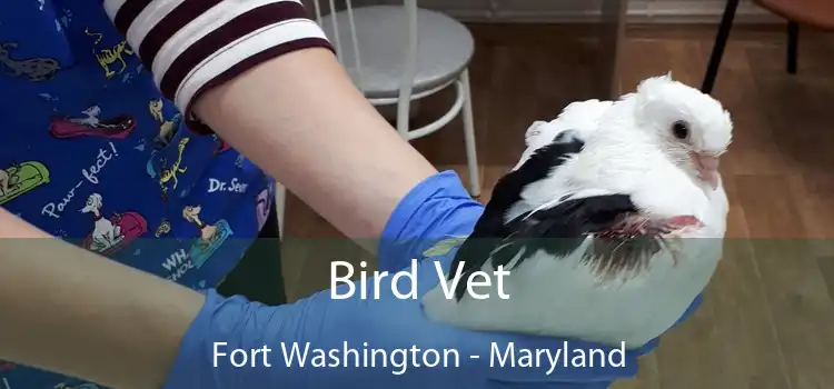 Bird Vet Fort Washington - Maryland