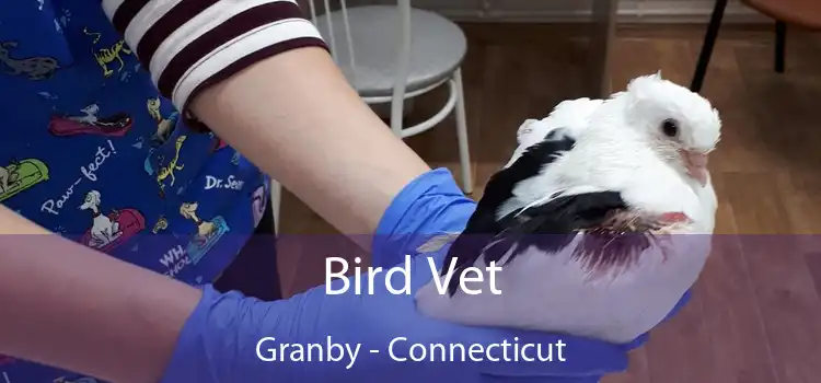 Bird Vet Granby - Connecticut