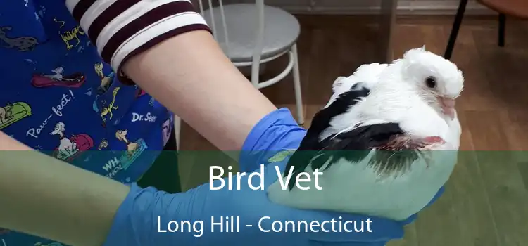 Bird Vet Long Hill - Connecticut