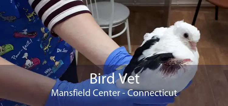 Bird Vet Mansfield Center - Connecticut