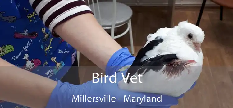 Bird Vet Millersville - Maryland