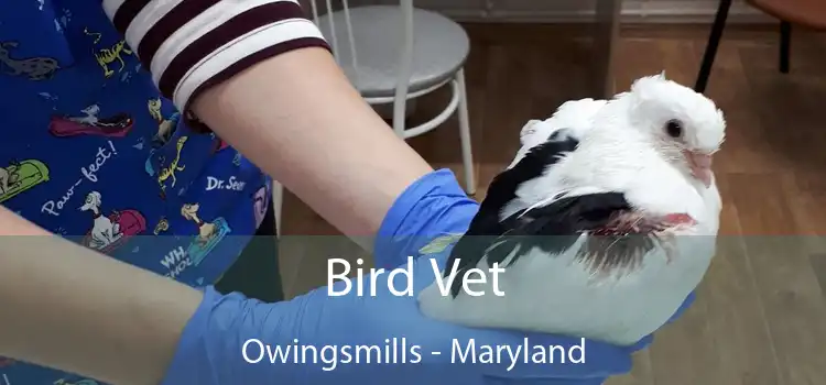 Bird Vet Owingsmills - Maryland