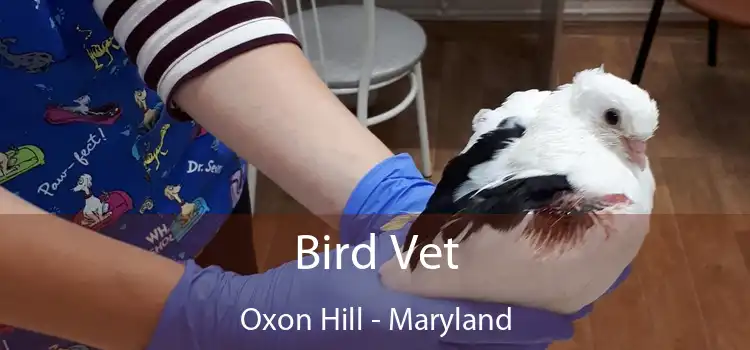 Bird Vet Oxon Hill - Maryland