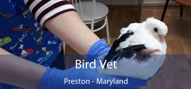 Bird Vet Preston - Maryland