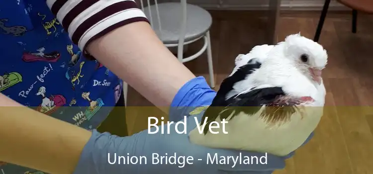 Bird Vet Union Bridge - Maryland