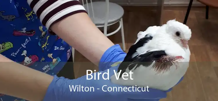 Bird Vet Wilton - Connecticut