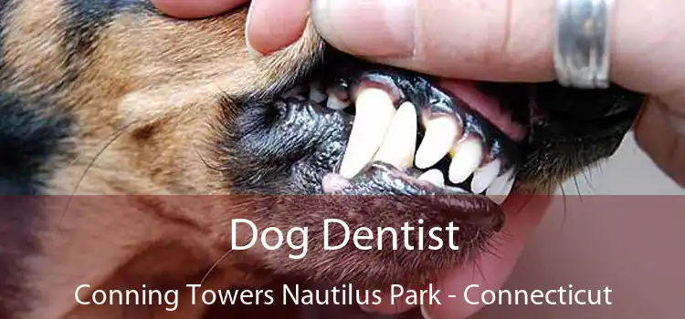 Dog Dentist Conning Towers Nautilus Park - Connecticut