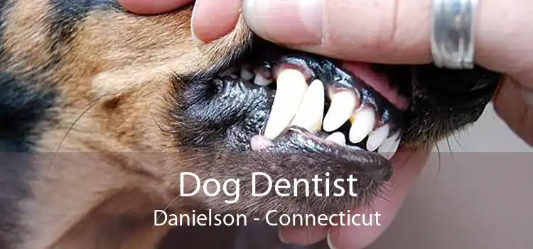 Dog Dentist Danielson - Connecticut