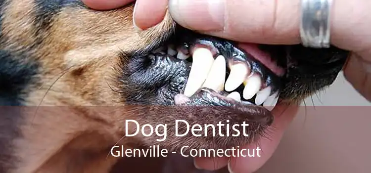 Dog Dentist Glenville - Connecticut