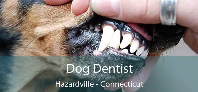 Dog Dentist Hazardville - Connecticut