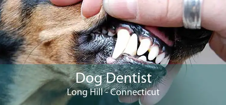 Dog Dentist Long Hill - Connecticut