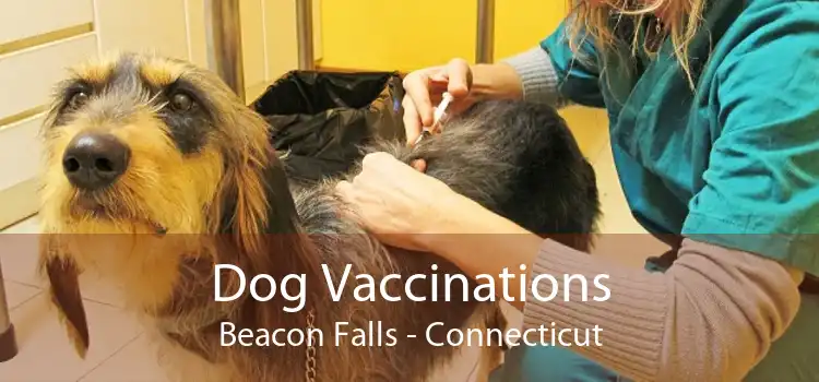 Dog Vaccinations Beacon Falls - Connecticut