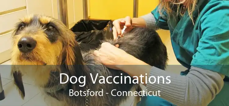 Dog Vaccinations Botsford - Connecticut
