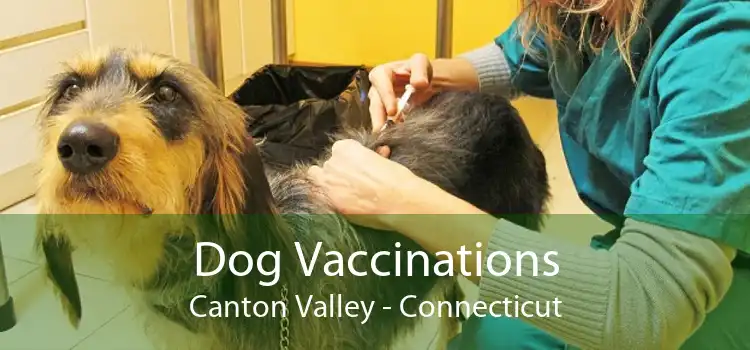 Dog Vaccinations Canton Valley - Connecticut