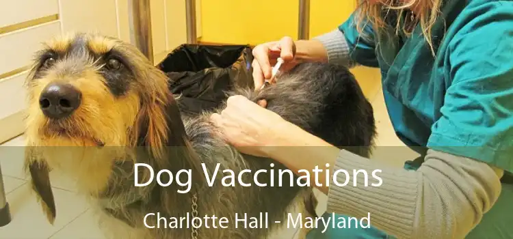 Dog Vaccinations Charlotte Hall - Maryland