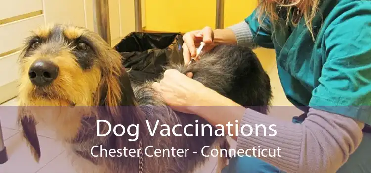 Dog Vaccinations Chester Center - Connecticut