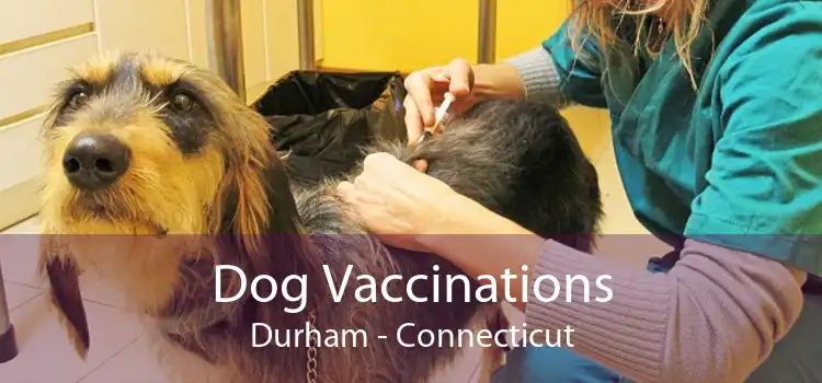 Dog Vaccinations Durham - Connecticut