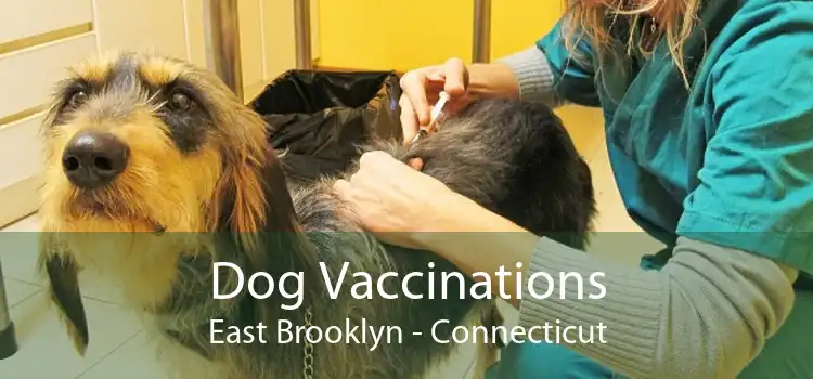 Dog Vaccinations East Brooklyn - Connecticut
