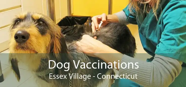 Dog Vaccinations Essex Village - Connecticut