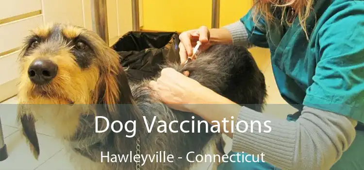 Dog Vaccinations Hawleyville - Connecticut