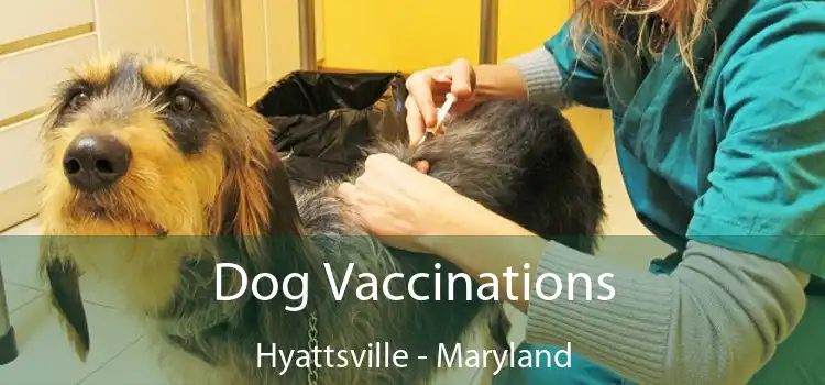 Dog Vaccinations Hyattsville - Maryland
